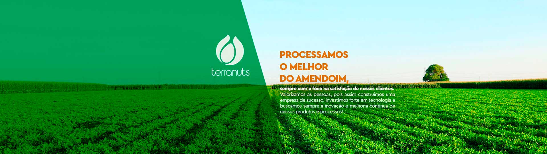 Processamos o melhor amendoim