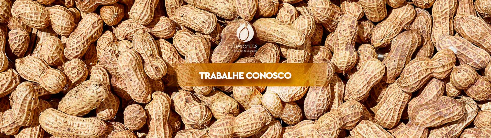 Trabalhe Conosco