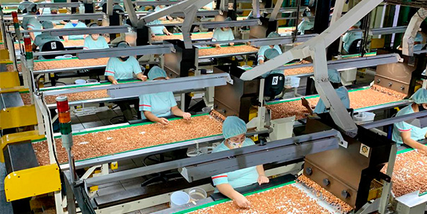 Padrões de qualidade rigorosos Padrões de qualidade rigorosos
