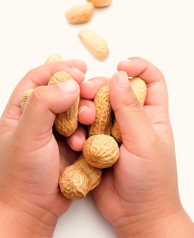 Qualidade e Segurança do Alimento